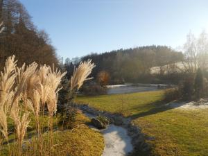 Loodusmaastik of the country house lähedal