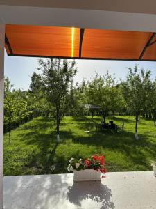 a window view of a yard with a pot of flowers at LakeSide in Gabala