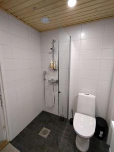 a bathroom with a toilet and a glass shower at Foliate Living Varpu in Jyväskylä