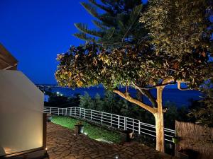 a tree on the side of a house at night at Spiros Rooms in Kastrosikia