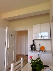 a kitchen with white cabinets and a table with a plant at Mert Jacellari Guesthouse in Pogradec