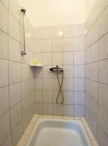 a bathroom with a bath tub with a shower at Franc Llagami - Rooms in Vecsés