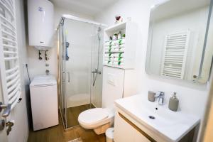 a bathroom with a toilet sink and a shower at BellaVita Apartman in Vrnjačka Banja +20 photos