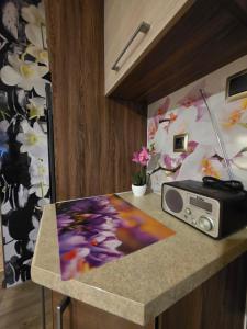 a table with a radio and a painting on it at Chill House Lipowo Mazury in Lipowo