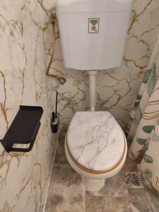 a white toilet in a bathroom with marble walls at Asmanis Rooms in Tarti +32 photos