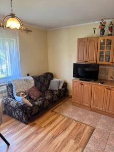 a living room with a couch and a tv at Domek u Krzyśka in Słopnice