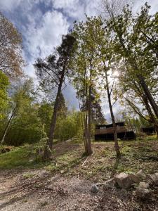 a group of trees in the middle of a field at Murrebo citystay in Örebro