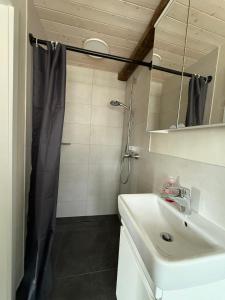 a bathroom with a sink and a shower at Fachwerk Anno 1789 in Lemgo