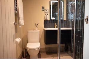 a bathroom with a toilet and a sink and a shower at The George at Backwell in Bristol