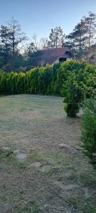 a field with a tree in the middle of it at Vila Sofija in Vinci +6 photos