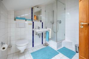 a bathroom with a shower and a toilet and a sink at Ferienwohnung Chiemgau in Eggstätt +7 photos