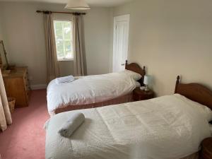 a hotel room with two beds and a window at Crossing Gates House in Dundrum