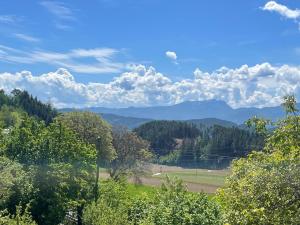a view of a valley with mountains and trees at Pension Victoria in Millstatt