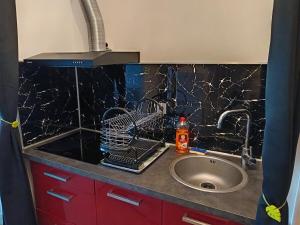 a kitchen counter top with a sink and a sink at Appartement T1 et petite terrasse in Artiguelouve