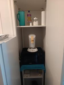 a blender sitting on a shelf in a kitchen at Appartement T1 et petite terrasse in Artiguelouve