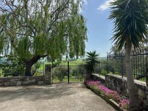a wrought iron fence with a tree and flowers at Residenza Dottavio in Montenero di Bisaccia
