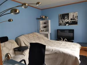 a bedroom with blue walls and a bed and a television at Room 2 in Kirkenes