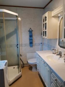 a bathroom with a shower and a toilet and a sink at Room 2 in Kirkenes