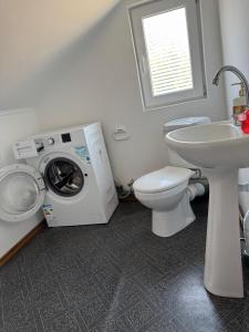 a bathroom with a washing machine and a sink at Dacha Marella in Nova Dofinivka +15 photos