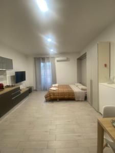 a large room with a bed and a television at Casa vacanza La Ninfea intera casa in Caltagirone