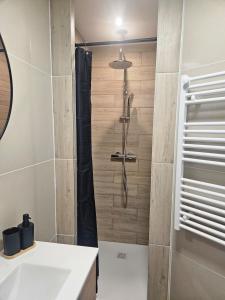 a bathroom with a shower and a sink at 3-room apartment 2b in Thionville