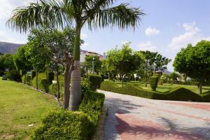 a palm tree on the side of a road at Hotel Raj Resort and Pool in Dogeta