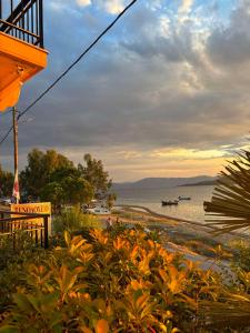 a view of a beach with a boat in the water at Fuji Hotel in Edipsos