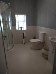a bathroom with a toilet and a shower and a window at Codladh Samh Apartment No 2 in Templemore