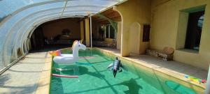 a swimming pool with a swan and a shark in the water at Grand Gite des Jourdets in Lairière