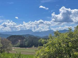 a view of mountains and trees in a field at Pension Victoria in Millstatt