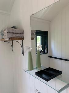 a bathroom with a glass shelf and a mirror at Apple Orchard Shepherd Huts in Staple Cross