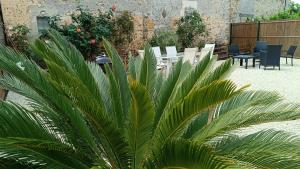 a plant in a garden with chairs and a table at Douce Campagne in Clermont-Créans