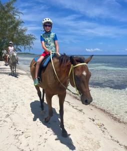 a young girl riding a horse on the beach at Blue Song Villa in Braco