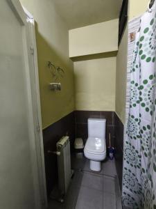 a small bathroom with a toilet and a radiator at Libertador 2 in Montevideo +7 photos