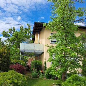 a house with a tree in front of it at Ferienwohnung Kirsch in Sankt Wendel
