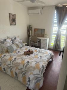ein Schlafzimmer mit Bett, Schreibtisch und Fenstern in der Unterkunft le Petit Cocon ! in Pointe-à-Pitre