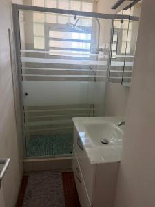 ein Badezimmer mit Dusche und Waschbecken in der Unterkunft le Petit Cocon ! in Pointe-à-Pitre + 21 Fotos