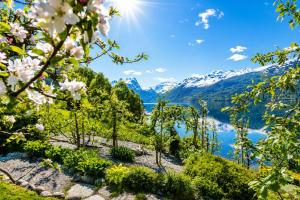 a view of a lake with mountains in the background at Villa Lilleheim in Breim +50 photos