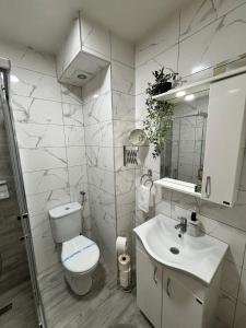 a bathroom with a toilet and a sink at Apartman Vanila Lux Kragujevac in Kragujevac +19 photos