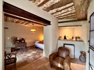 a living room with a bed and a fireplace at Le Jardin Secret in Grignan +59 photos