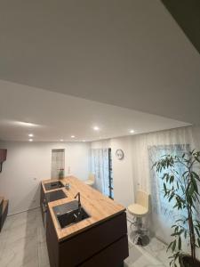 a kitchen with a sink and a counter at Romantiksuite Euskirchen in Euskirchen