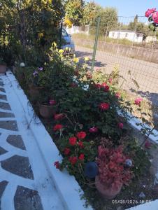 a flower garden with flowers in the snow at Victoria's Summer House in Amalias