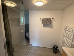 a bathroom with a shower and a toilet and two lights at Ferienapartment Stemmert in Gelting
