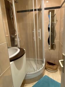 a shower with a toilet and a sink in a bathroom at Rance solidor ter in Saint Malo +71 photos
