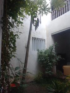 a building with a palm tree in front of it at Magram House in Lamu +7 photos