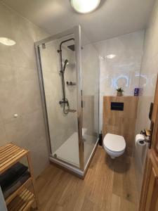 a bathroom with a shower and a toilet at Pension Sima in Harrachov +42 photos
