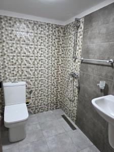 a bathroom with a shower and a toilet and a sink at Dar Julia Seaview Apartment in Mahdia +17 photos