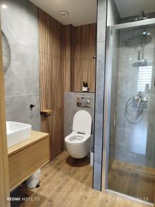 a bathroom with a toilet and a sink and a shower at Agroturystyka u Marii in Komańcza +24 photos