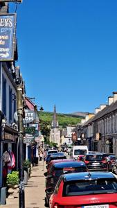 a row of cars parked on a city street at 9 Suíomh Alainn in Kilgarvan