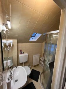 a bathroom with a shower and a toilet and a sink at Haraplak in Hajdúszoboszló